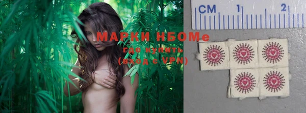 ГАЛЛЮЦИНОГЕННЫЕ ГРИБЫ Сосновка