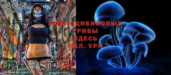 крисы Волоколамск
