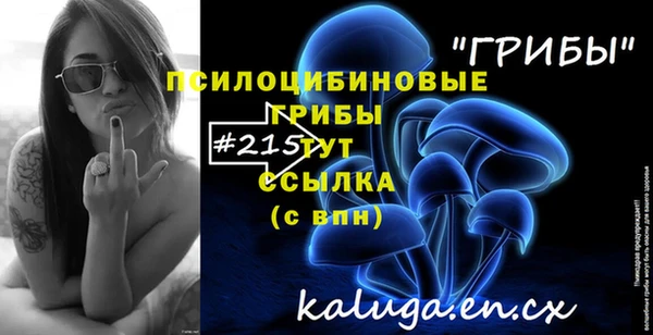 прущий лед Волосово